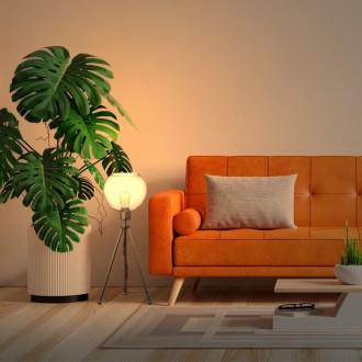 Lampa stojąca czarna NEPTUN Mini z kula clear venus