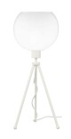 EL-TL FL White + Venus20 white.jpg