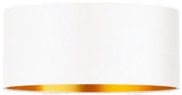 ZLA7232 40cm.jpg
